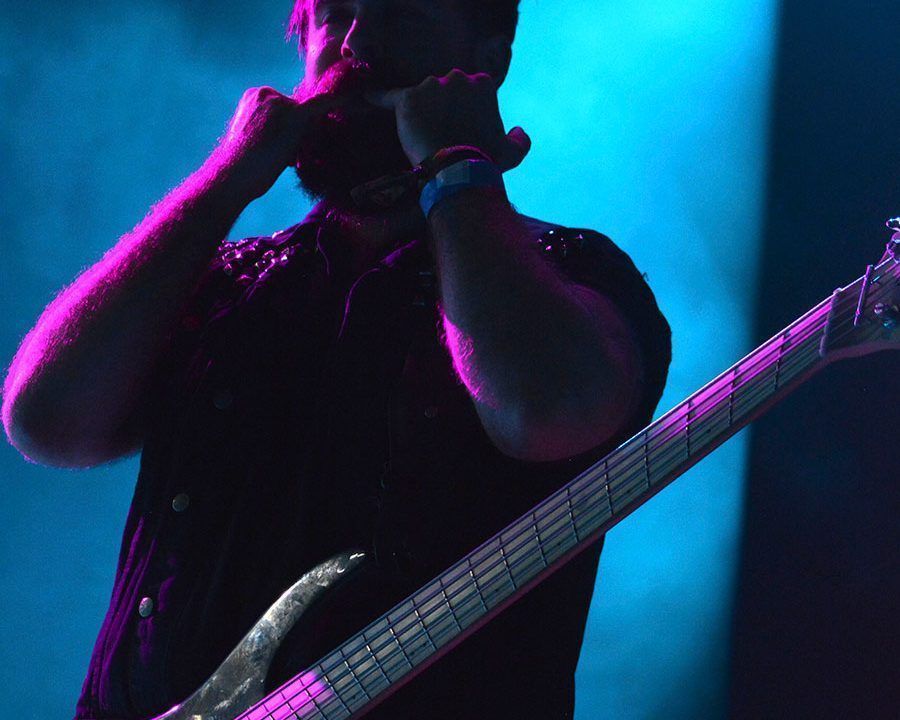Bajista concierto de la Raiz en el Viñarock 2016