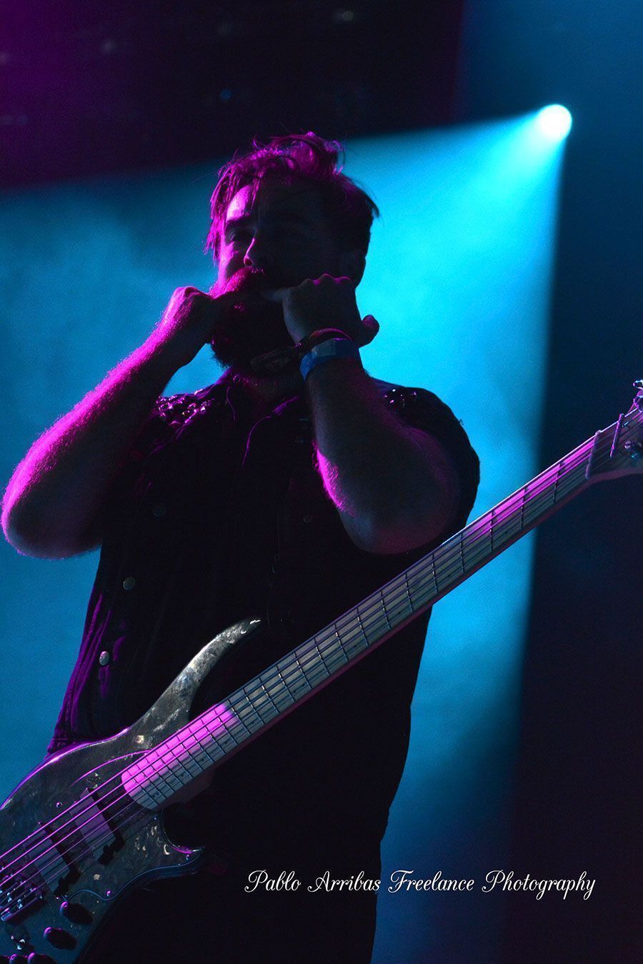 Bajista concierto de la Raiz en el Viñarock 2016