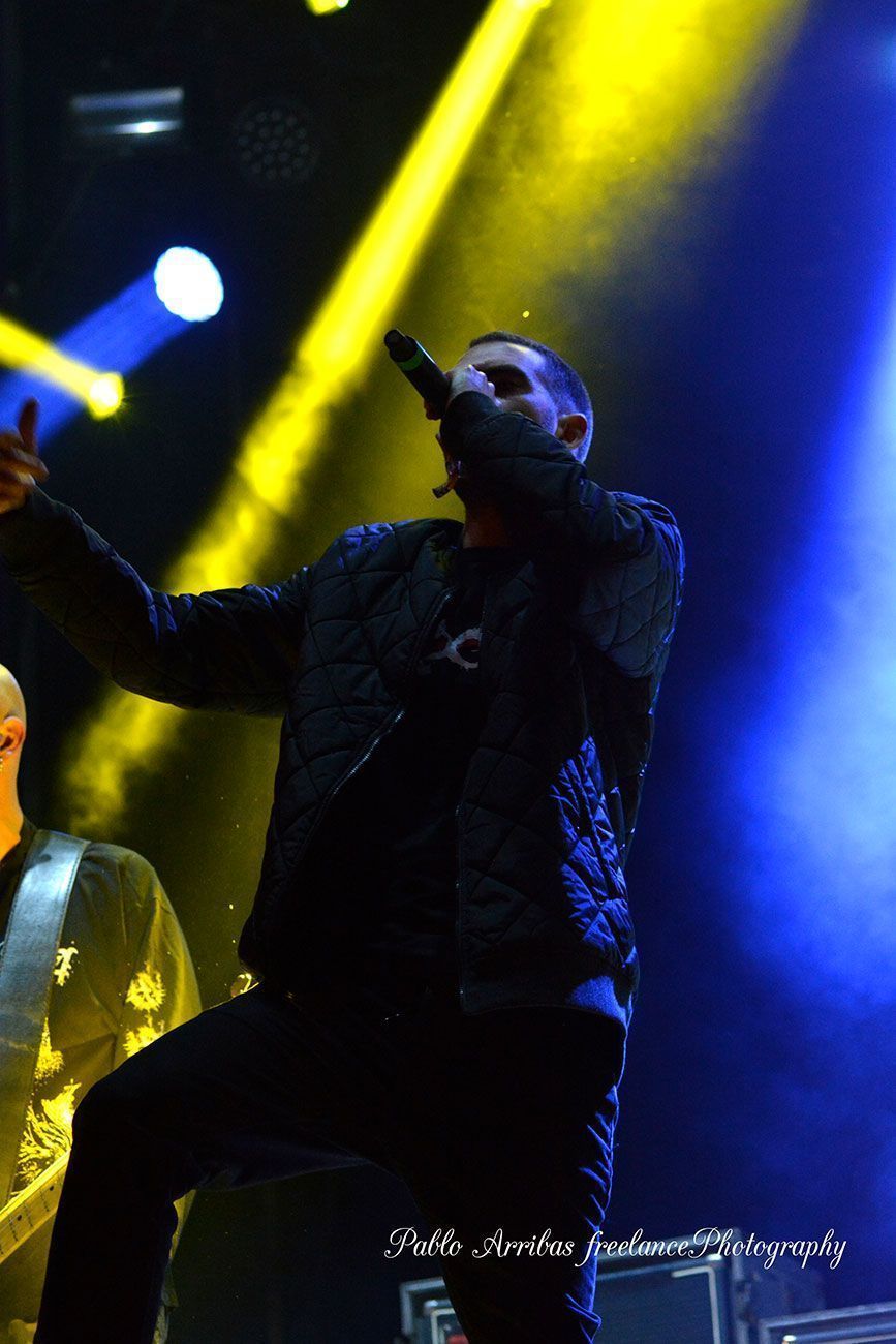 Concierto de la raiz en el Viñarock 2016